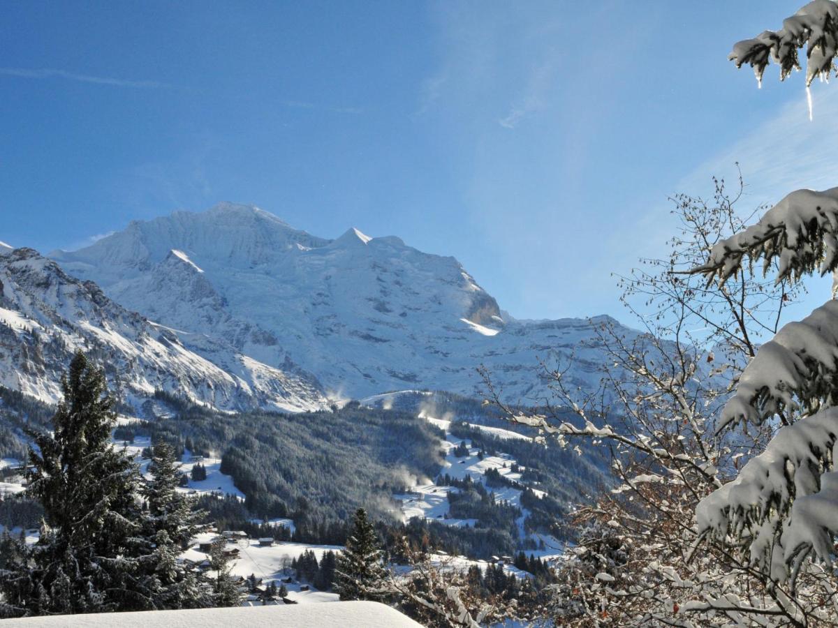 Apartment Mittaghorn-3 By Interhome Wengen Zewnętrze zdjęcie